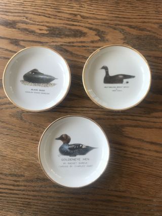 Martha’s Vineyard Chapter Ducks Unlimited Small Plates Or Coasters