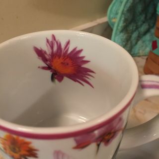 Paul Cardew Set Of Four Hummingbird Coffee Mugs 4