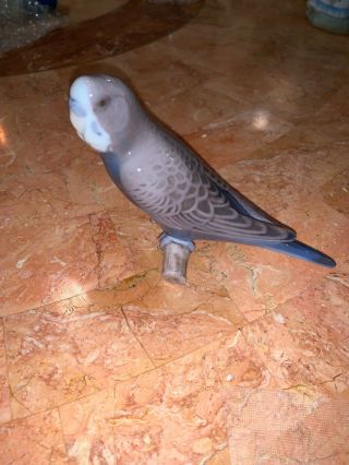 Bing And Grondahl (b&g) 4” Parakeet,  Budgie,  Flawless Bird Figurine.  2210.