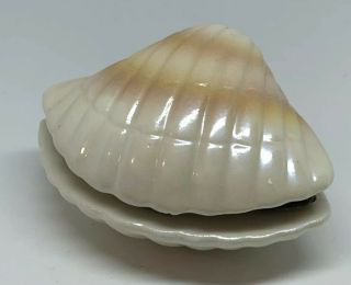 Vintage Clam Sea Shell Brass Hinged Trinket Pill Box Container 2.  75 " Polished