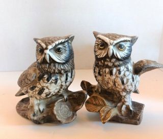 Great Horned Owl Ceramic Figurine Set On Tree Branch By Homco Marked 1114