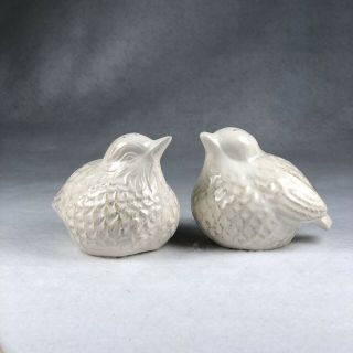 Vintage Round Birds Salt And Pepper Shakers White Washed Finish