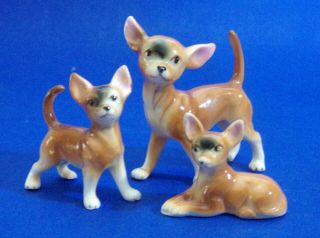 Chihuahua Dog Figurines Set Of 3 Bone China Glossy Brown Black White Miniature