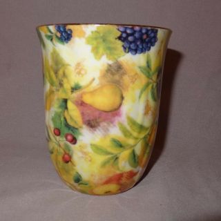 Fruit Pear Apple Grapes Coffee Mug 10 oz Cup Ceramic Special Place 122 Leaves 3