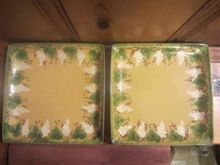 Set Of 2 Enesco 11 " Square Dinner Plate Platter Brown Green Grape Vine 1999 Euc