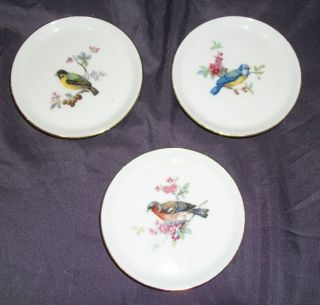 Set Of 3 J.  K.  W.  Bavaria John James Audubon Collector 3 3/4 " D Plates