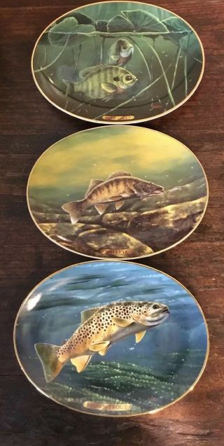 3 Edward L.  Tottenham Collector Plates - Brown Trout,  Blue Gills And Walleye Fish