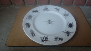 Stephanie Fernald Ceramic Designs Bee 11 " Charger Plate Fornasetti Style 2/3
