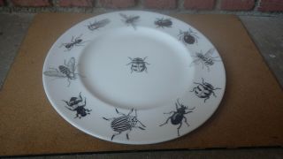 Stephanie Fernald Ceramic Designs Ladybug 11 " Charger Plate Fornasetti Style 3/3