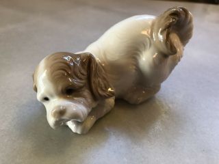 Nao By Lladro " Playful Puppy " Very Cute Figurine Reg.  145$