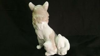 NAO Lladro Porcelain Chihuahua Dog Figurine - 8 inches 2