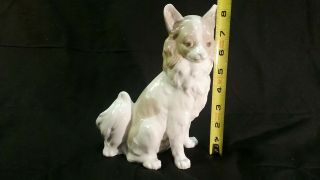 NAO Lladro Porcelain Chihuahua Dog Figurine - 8 inches 6