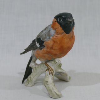 Goebel West Germany Bullfinch Bird Collectible Bisque Porcelain Hand Painted