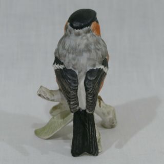 Goebel West Germany Bullfinch Bird Collectible Bisque Porcelain Hand Painted 3