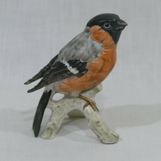 Goebel West Germany Bullfinch Bird Collectible Bisque Porcelain Hand Painted 4