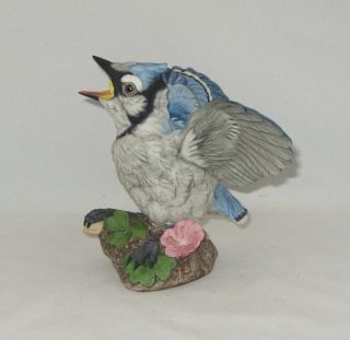 Boehm Porcelain Bird Sculpture " Fledgling Blue Jay " 400 - 77