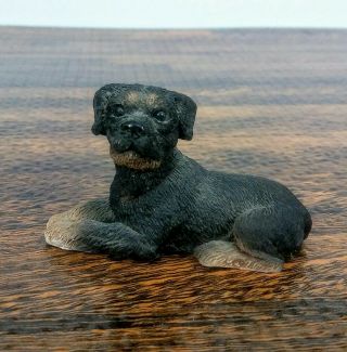 Stone Critters Rottweiler Dog Miniature Figurine United Designs Resin Laying