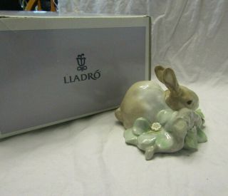 Lladro Porcelain Figurine Bunny Rabbit Number 4772 N I B Made In Spain
