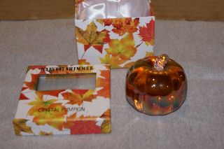 Simon Designs Crystal Amber Shimmer Pumpkin Paperweight