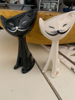 Black And White Long Neck Cat Salt And Pepper