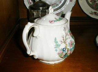 Sadler Indian Tree Teapot 2 Cup Small Teapot Vintage 5