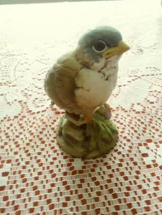 Vintage Andrea By Sadek Baby Gold Finch Bird Figurine 6350