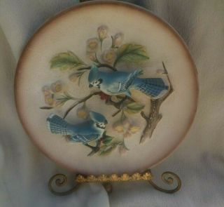 Blue Jay Plate With Stand 3d