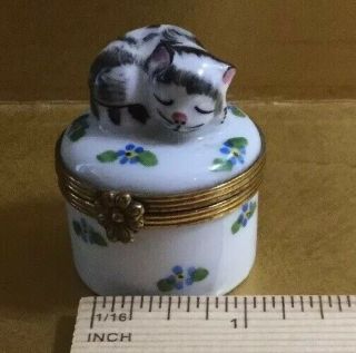 Limoges Chamart France Kitty Cat Sleeping On A Round Trinket Box Peint Main