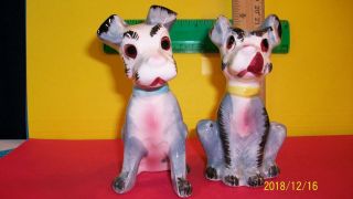 Salt And Pepper Shaker,  Vintage Dogs,  Hand Painted,  1950 