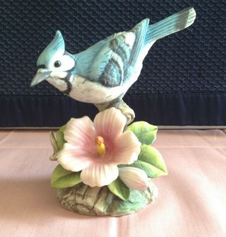 Blue Jay Figurine By Andrea Sadek 9386 Porcelain