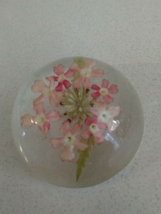 Vintage W.  Rolfe Signed Pink Flowers Enclosed In Acrylic Lucite Paperweight