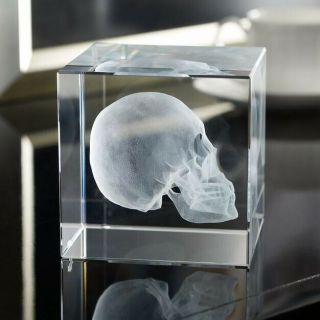 Ralph Lauren Home Ayers Paperweight Encased Skull Cube Crystal Desk Ornament