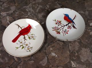 Two D R Eckelberry Avon North American Songbird Plates Cardinal & Bluebird