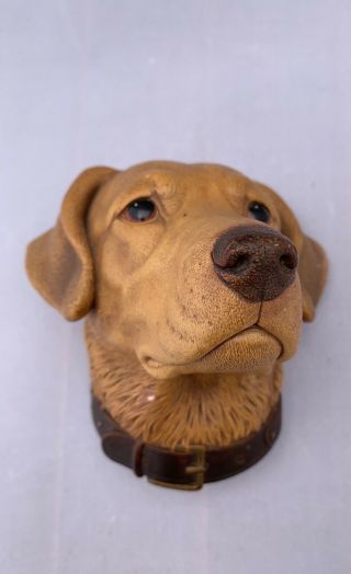 Bossons Chalkware,  Golden Labrador 