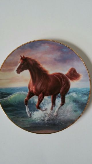 Surf Dancer Unbridled Spirit Horse Collector Plate 29888 By Chuck De Haan