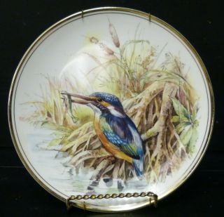 Vintage Royal Vale 8 1/4 " Decorative Bird Cabinet Plate England