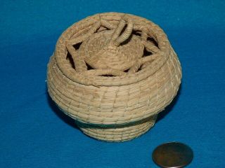 Tiny Intricate Woven Grass Basket W/ Lid 10 " Around X 2 1/4 " T