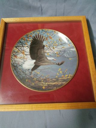 Seasons Of The Bald Eagle Collector Plate By John Pitcher The Hamilton.