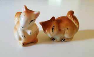 Vintage Ceramic Brown - Tan Squirrels Salt and Pepper Shakers Japan 4