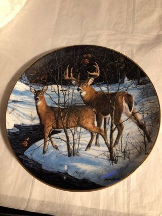 Danbury Woodland Royalty Whitetail Alert Collector Plate By Bruce Miller