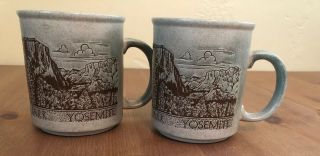 Vintage Yosemite National Park Souvenir Mug/coffee Cup