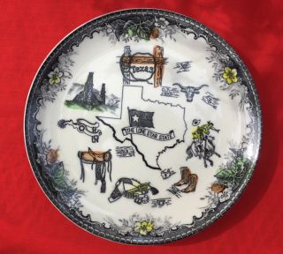 Vintage Souvenir Plate 9” Hand Colored Texas Lone Star State