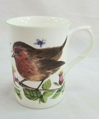 Rose Of England Fine Bone China Tea Cup Mug Bird Sparrow Butterfly Floral