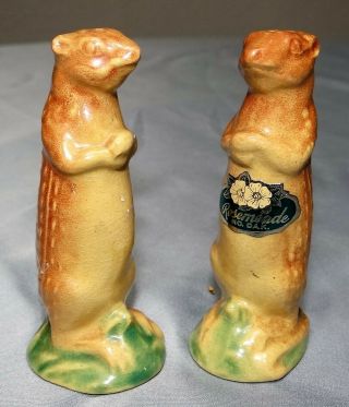 Rosemeade Art Pottery Standing Prairie Dog Salt & Pepper Shakers Set Vtg