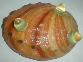 Vintage Footed Natural Art Of Abalone Seashell Bowl Gorgeous Colors Jewelry Etc