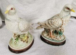 Set Of 2 Vintage Ceramic Dove Pigeon Bird Figurine