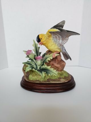 Andrea By Sadek " Gold Finch " Porcelain Bird Vintage 6564