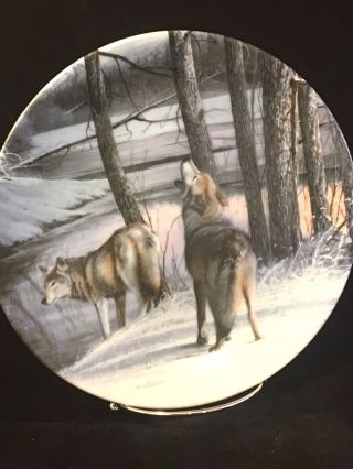 Plate Northern Spirits Call Of The Wilderness Wolves Wolf Knowles Limited