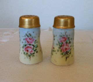 Favorite Bavaria Salt & Pepper Set Pink Roses