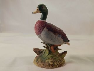 Mallard Duck Hand Painted Porcelain Figurine Andrea Sadek 6721 Japan